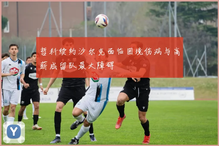哲科续约沙尔克面临困境伤病与高薪成留队最大障碍