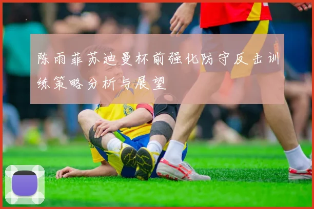 陈雨菲苏迪曼杯前强化防守反击训练策略分析与展望